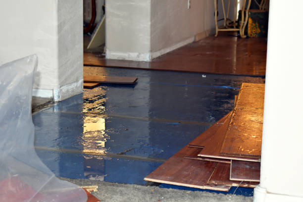 Professional Sewage Cleanup technician working in Redding, CT
